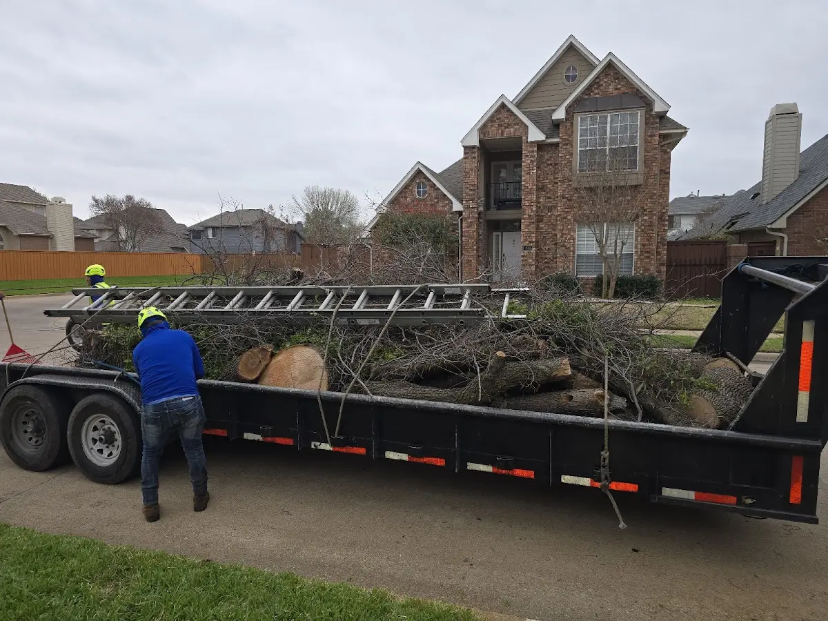 Expert Tree Removal with proper safety equipment in Warsaw